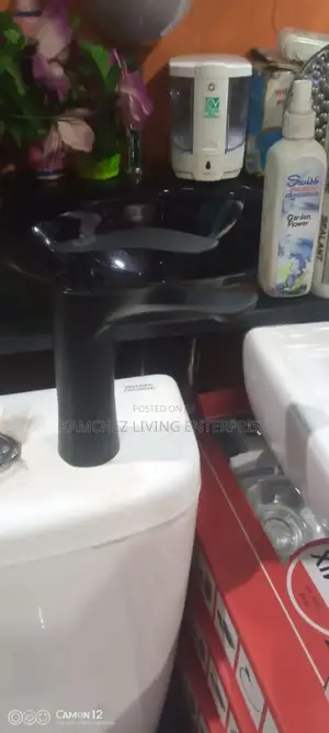 Modern Black Basin Mixer