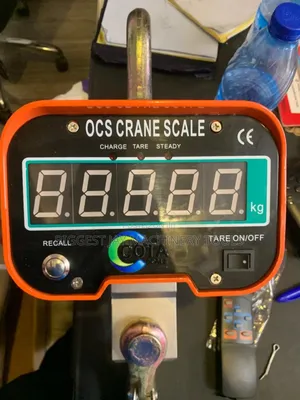 Crane Hanging Scale 3tons (3000kg)