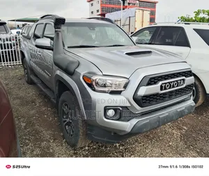 Toyota Tacoma 2020 Gray