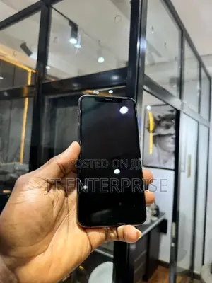 Apple iPhone 11 Pro Max 256 GB Gray