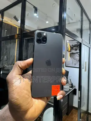 Apple iPhone 11 Pro Max 256 GB Gray