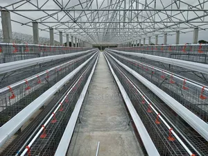Quality Battery Cage for Farmers