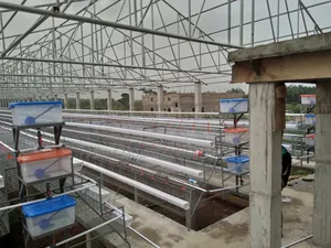 Quality Battery Cage for Farmers