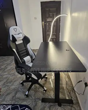 Premium Sit-Stand Desk With Furgle Gaming Chair