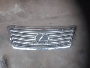Lexus Es350 2010 Model Front Bumper Grille