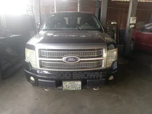 Ford F-150 Platinum 2010 Black