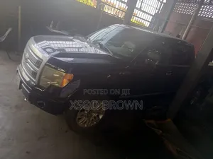 Ford F-150 Platinum 2010 Black