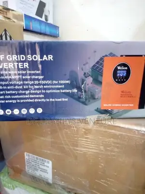 Welion Hybrid Inverter 1.5/24v