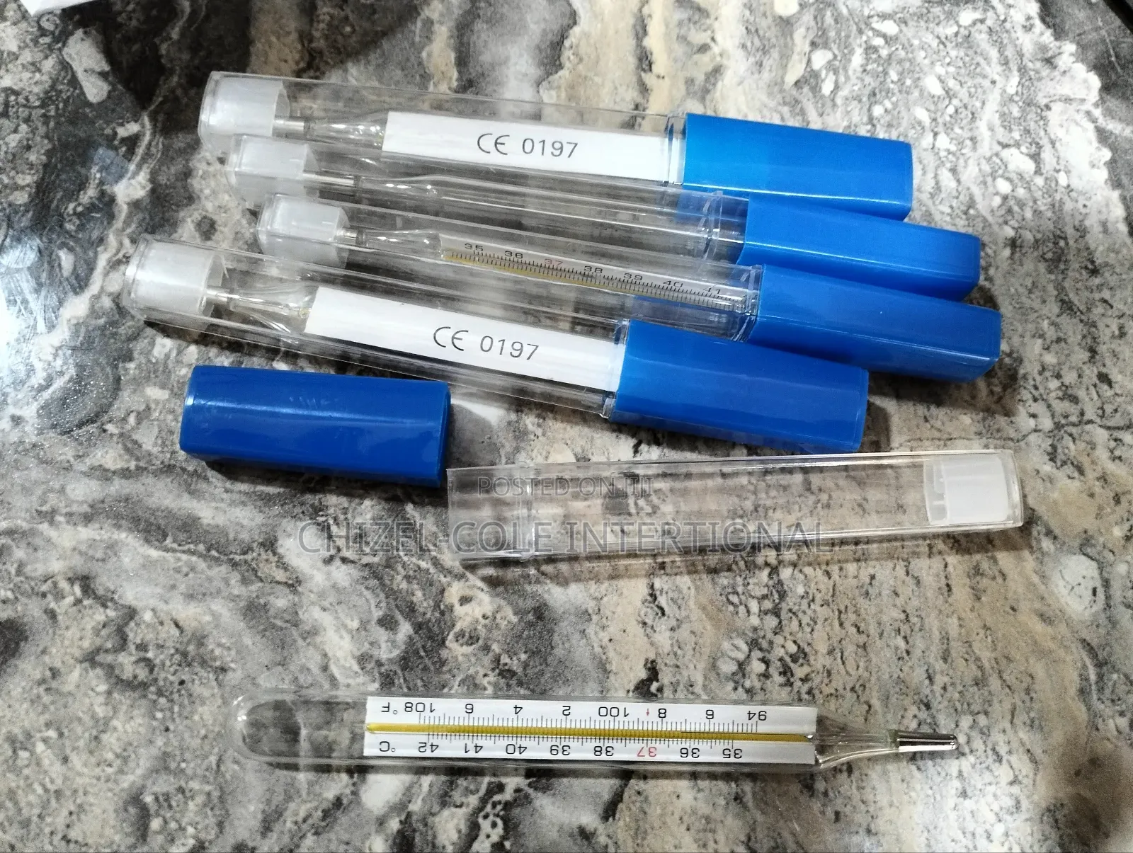Thermometer Oral