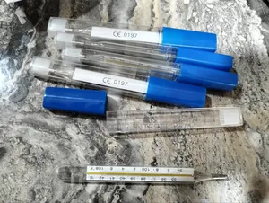 Thermometer Oral