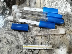 Thermometer Oral