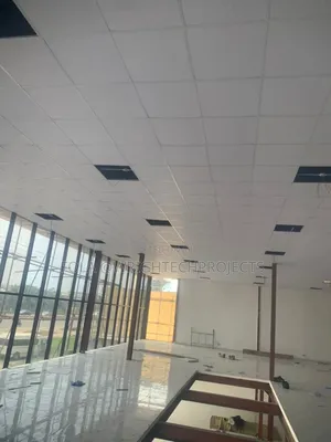 Suspended Ceiling With Grids
