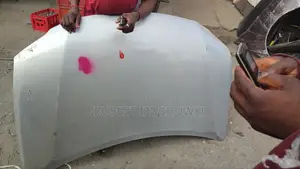 Bonnet Rx350 2010