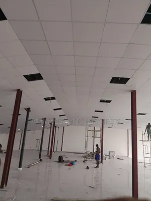 Suspended Ceiling Tiles