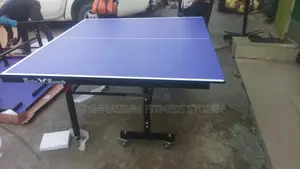 Striker Butterfly Indoor Tennis