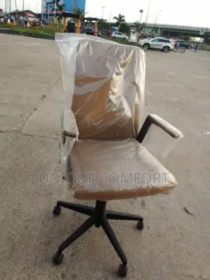 Imported Executive Office Padded Chair
