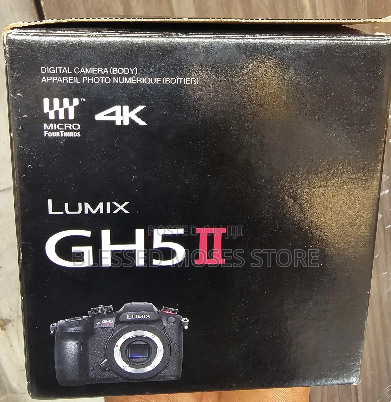 Panoramic Lumix Gh5 Ll Body