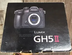 Panoramic Lumix Gh5 Ll Body