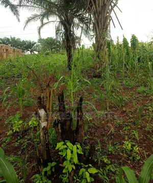 50/100 Land At Ekowe,Ekiadolor For Net. Has C Of O.