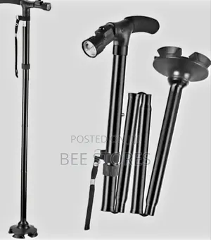 Trusty Cane Walking Stick