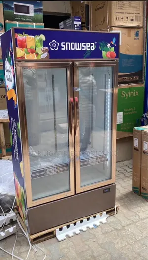 Chillers Double Doors 700 Liters