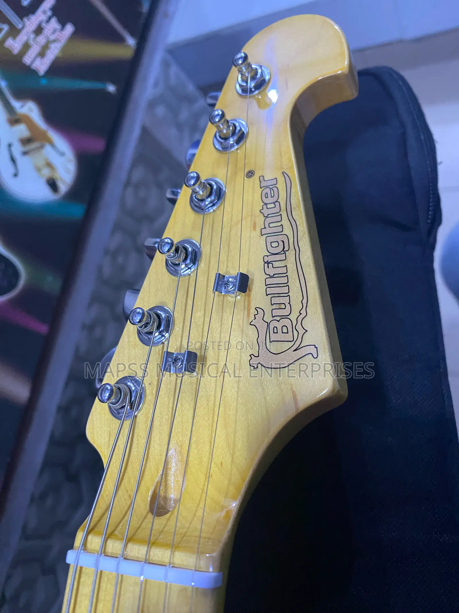 Professional Bullfighter Telecaster Guitar