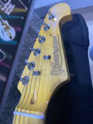 Professional Bullfighter Telecaster Guitar