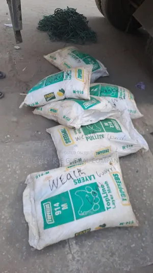 Industrial White Salt For Earthing/ Construction Purpose
