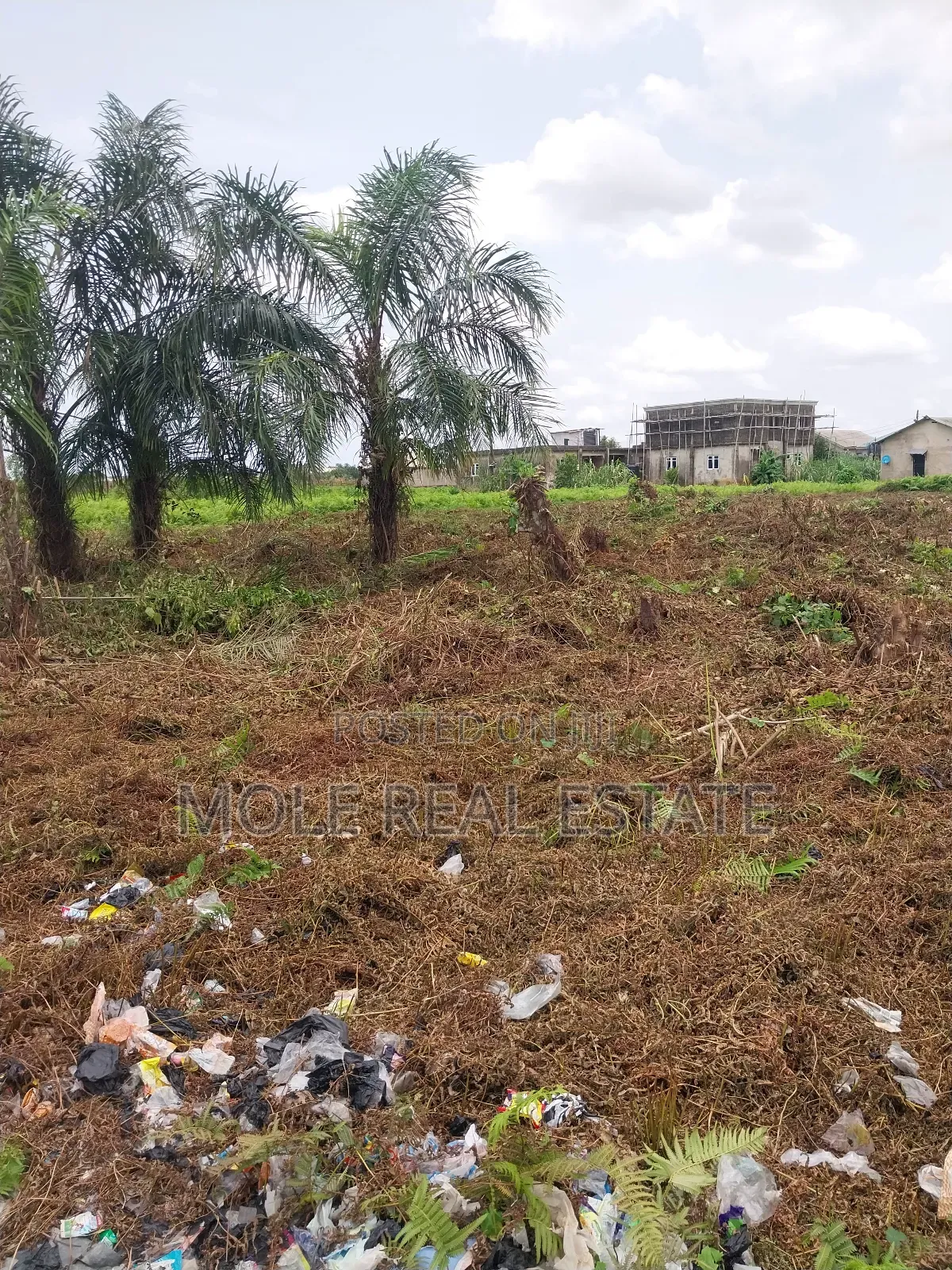 200 Acres Mixed Use Land Mologede Juntion Odeda Ogun State