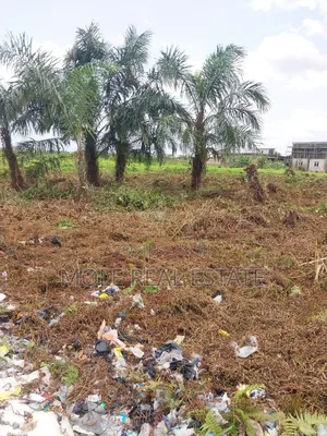 200 Acres Mixed Use Land Mologede Juntion Odeda Ogun State
