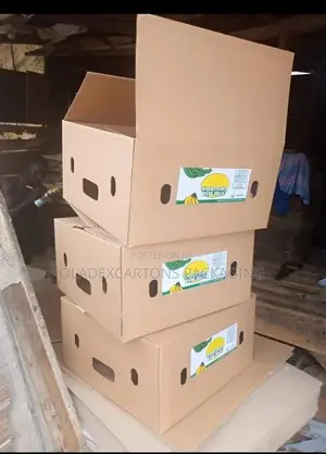 Cartons Box