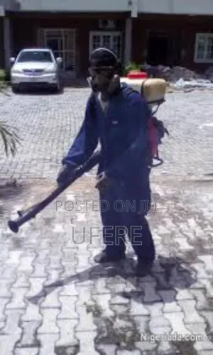 Bedbug Fumigation