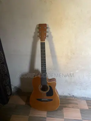 Photo - Hopper Guitar