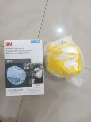 3m Dust Mask