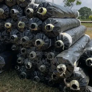 Drip Tape Irrigation and Plastic Mulch Installation