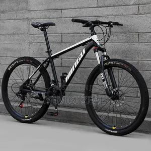 Big Tyre Bicycle