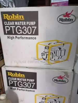 Original Robin Clear Water Pump Ptg307 High Performance