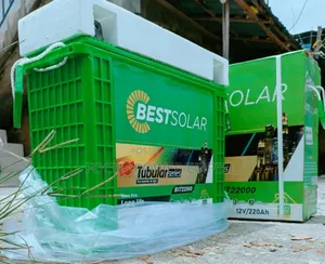 Original Bestsolar Tubular Series for Inverter Heavy Duty