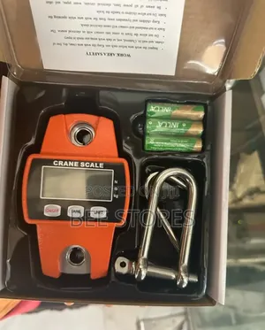 300kg Crane Scale
