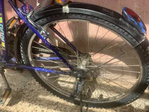 Used Bicycle