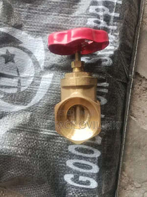 2" Sterling Valve