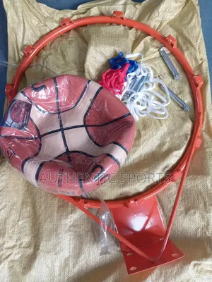 Basketball Rim With Molten Basketball and Net
