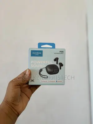 Sound Core P25i Earbud