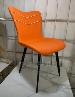 Striped Dinning Chair (With Colours)