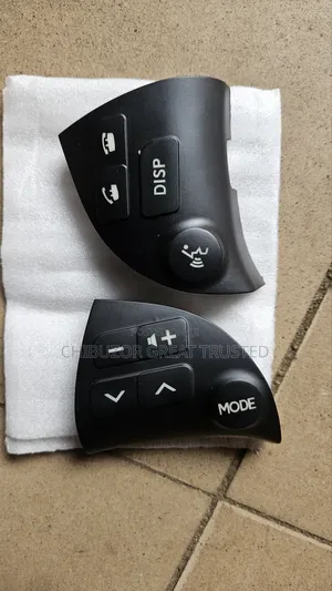 Es 350 2008/2010 Side Button Cover
