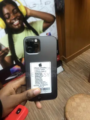 Apple iPhone 12 Pro Max 256 GB Gray