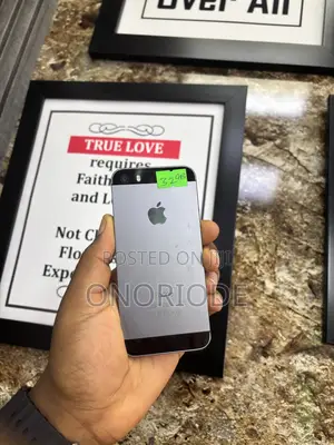 Apple iPhone 5s 32 GB Gray