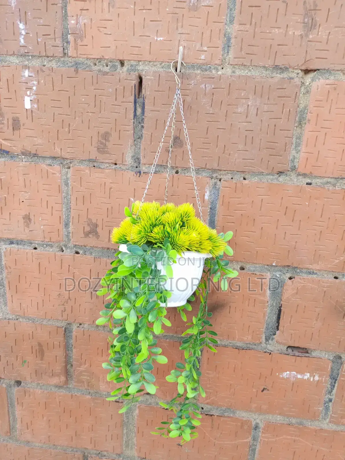 Hanging or Wall Flower