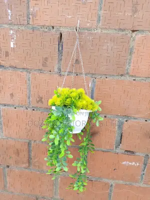 Hanging or Wall Flower