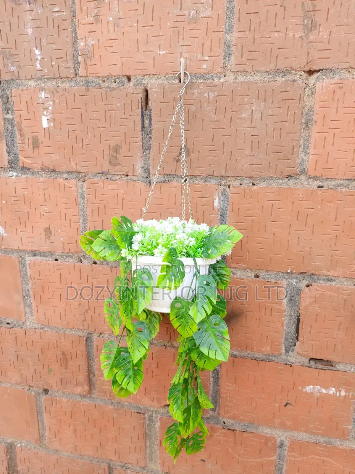 Hanging or Wall Flower